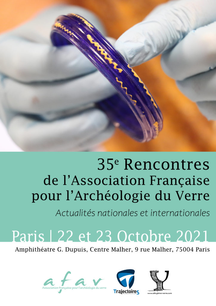 Affiche 35ème rencontres de l'AFAV à Paris
